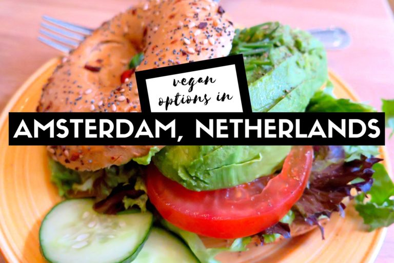 Vegan Options In Amsterdam 768x513 
